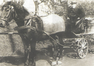 1891-Nachfolge des Sohnes